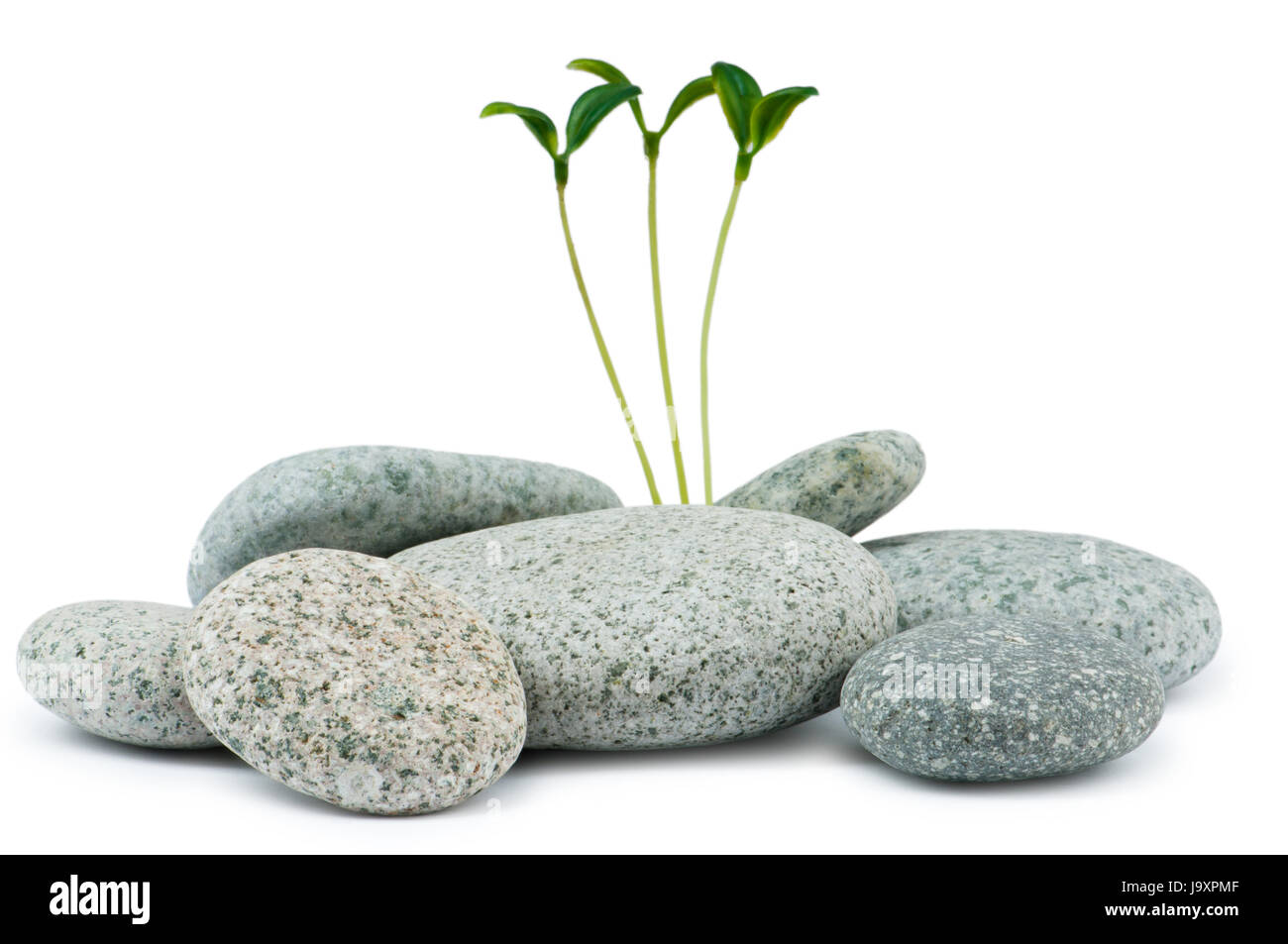 Model beauty pebble Cut Out Stock Images & Pictures - Alamy