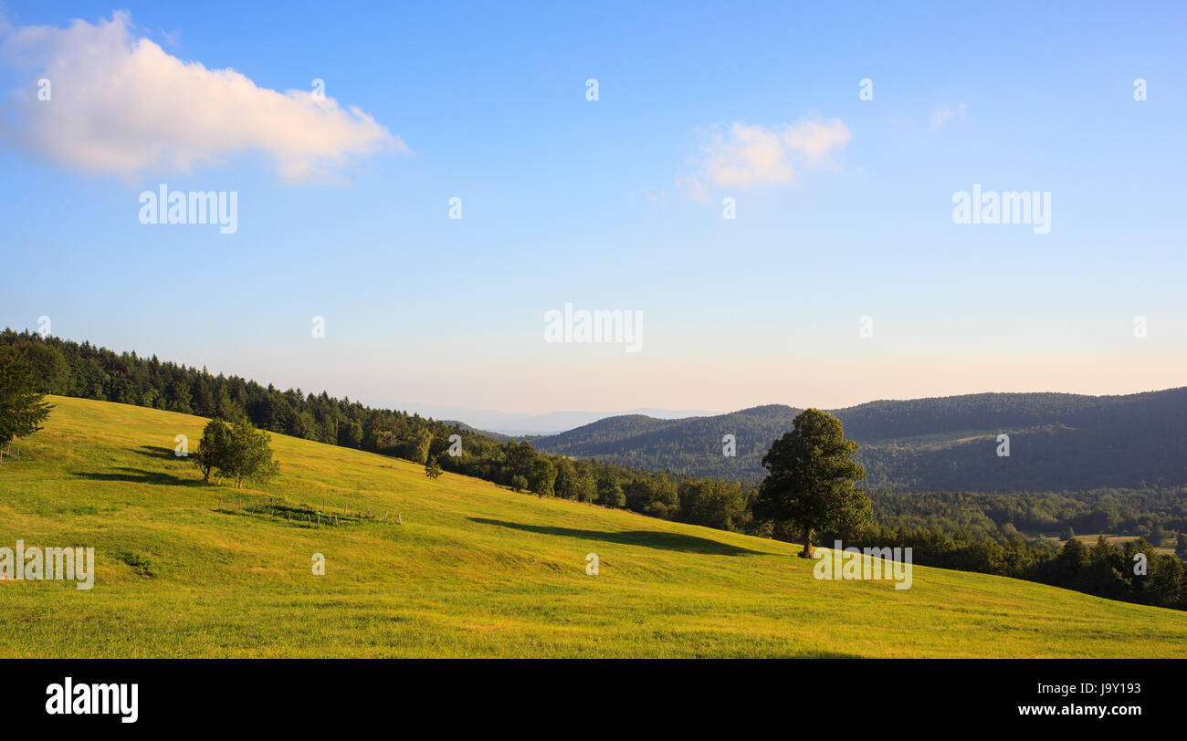 ground, soil, earth, humus, field, hoeing, mountain, meadow, grass