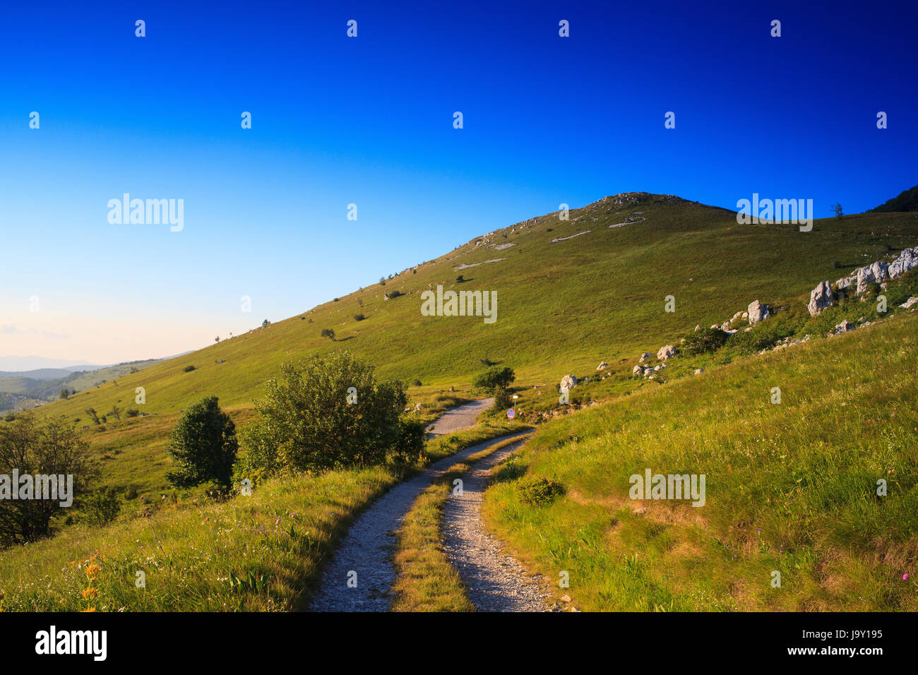 ground, soil, earth, humus, field, hoeing, mountain, meadow, grass
