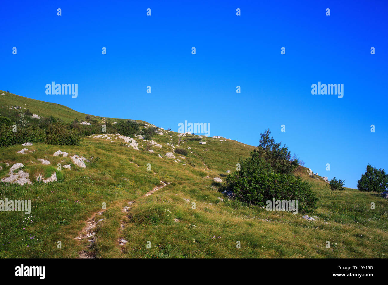 ground, soil, earth, humus, field, hoeing, mountain, meadow, grass