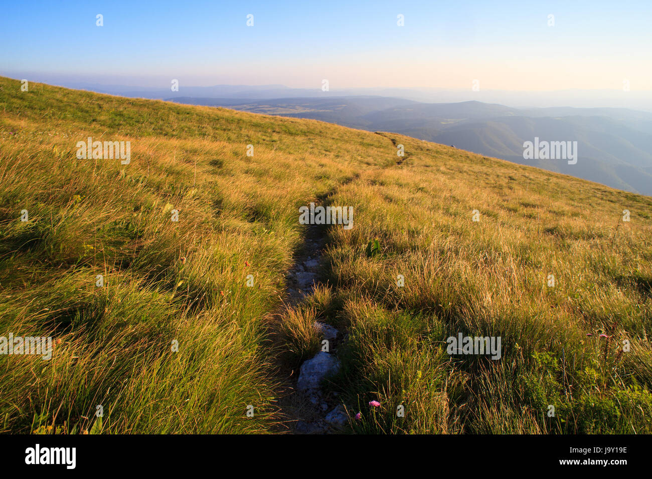 ground, soil, earth, humus, field, hoeing, mountain, meadow, grass