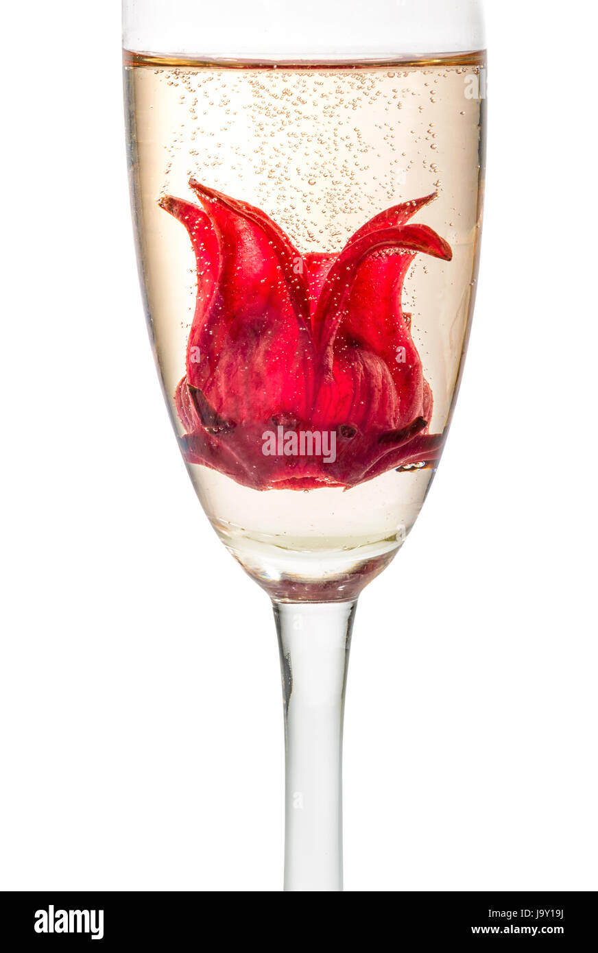 champagne cocktail with hibiscus flower Stock Photo Alamy