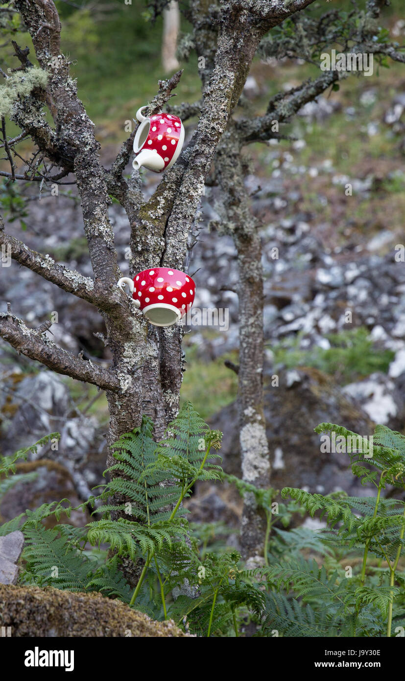 Red and white tea cups hanging in a tree on the island of Kerrara in Scotland, marking the path to the Kerrera Tea Garden and bunkhouse Stock Photo