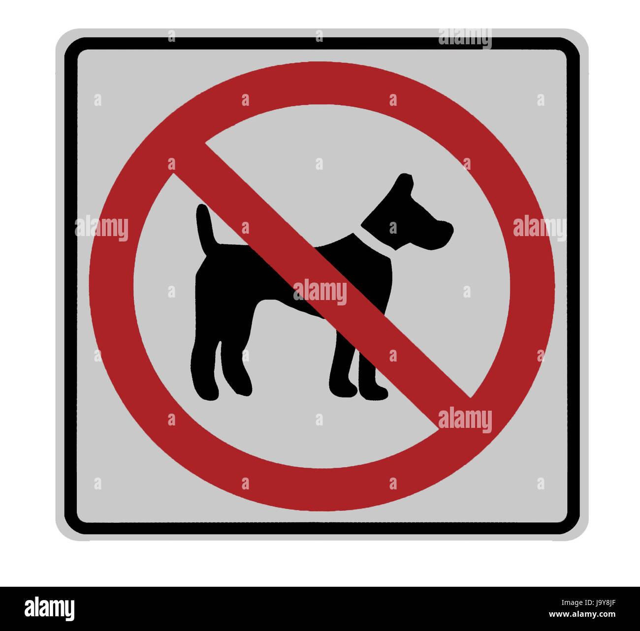 no dogs allowed sign isolated Stock Photo Alamy