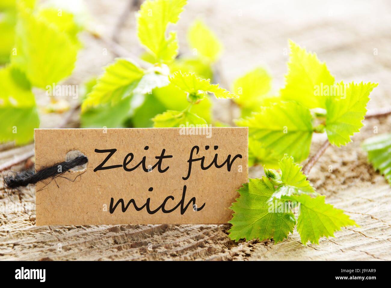 a natural looking label with green leaves and the german words Zeit