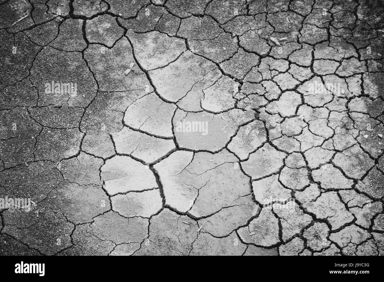 Land with dry and cracked ground,cracks in the ground background Stock Photo