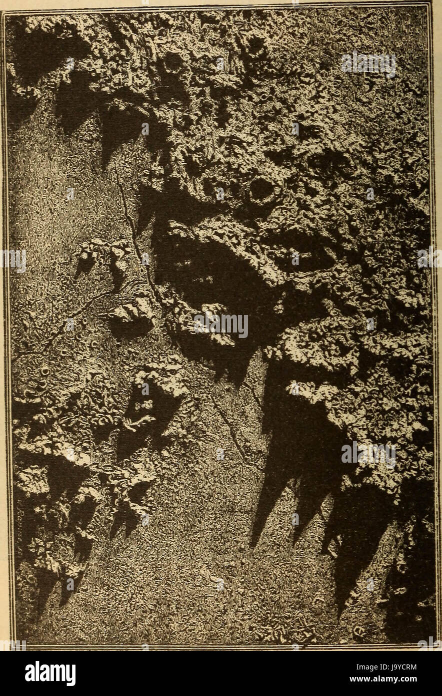 Historical Astronomy High Resolution Stock Photography and Images - Alamy