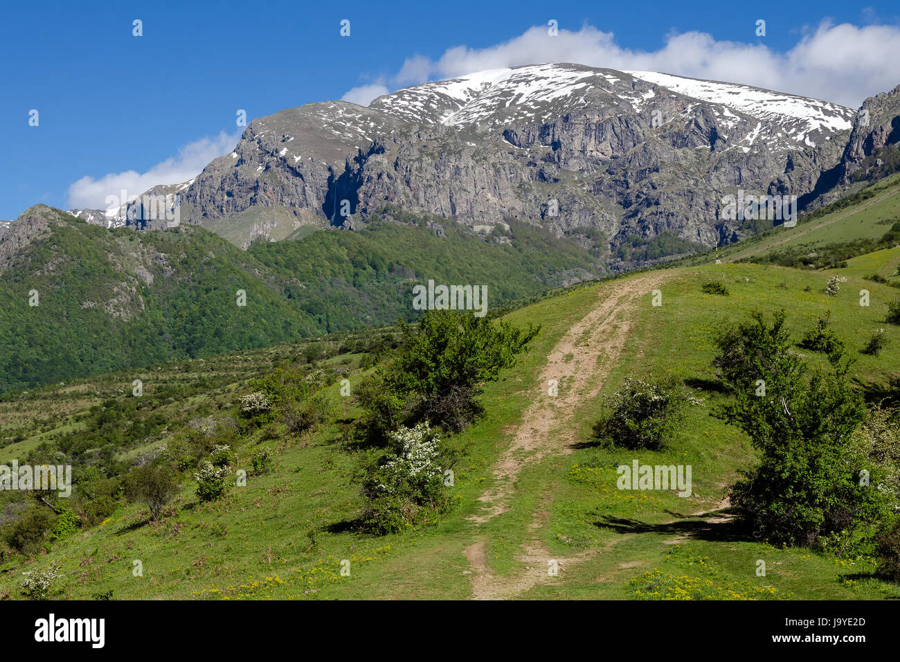 Green forest and tourist path to Botev peak, Stara Planina mountain, Bulgaria Stock Photo