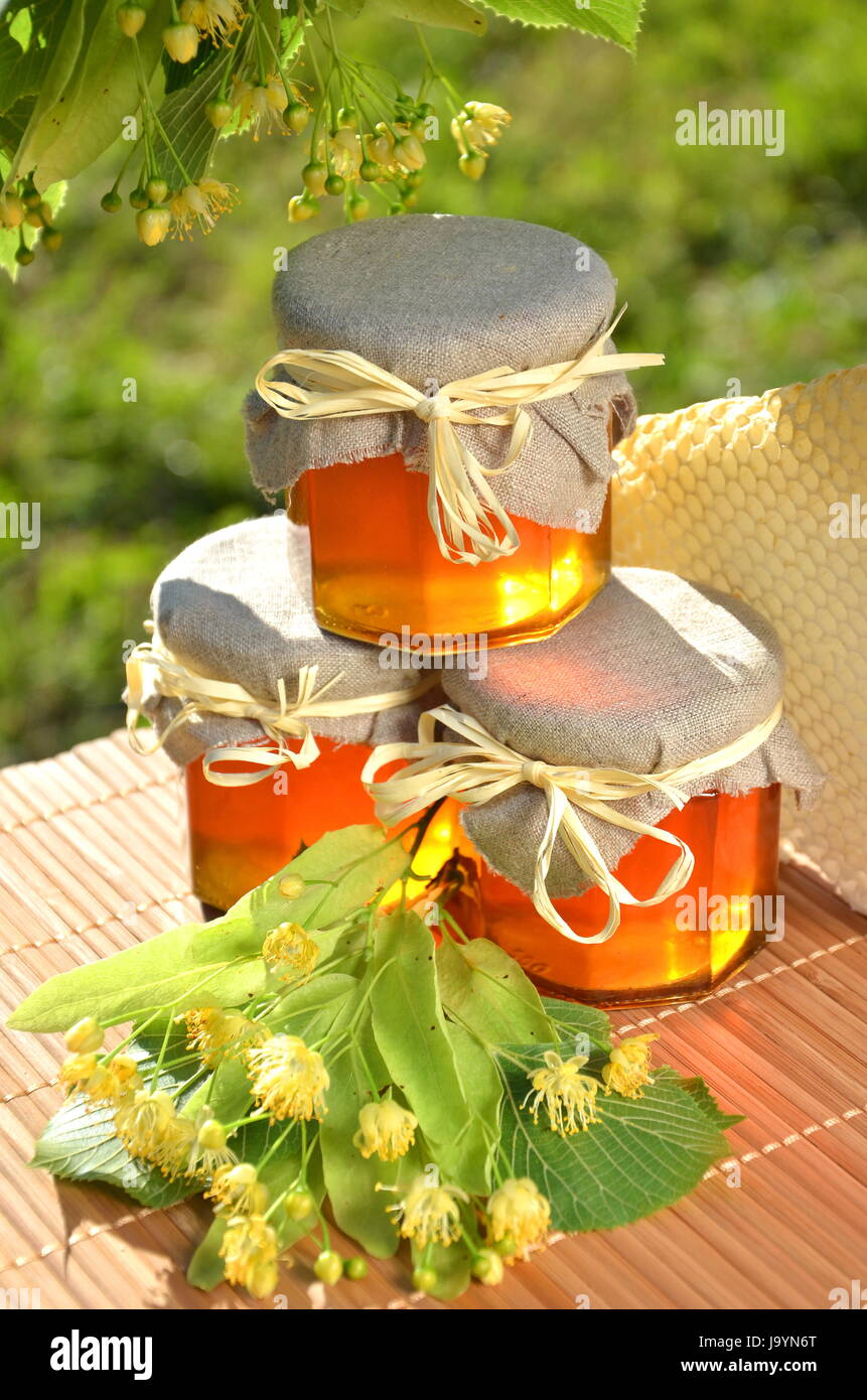 flower, flowers, plant, apiary, honeycomb, honey, insect, bee, glass ...