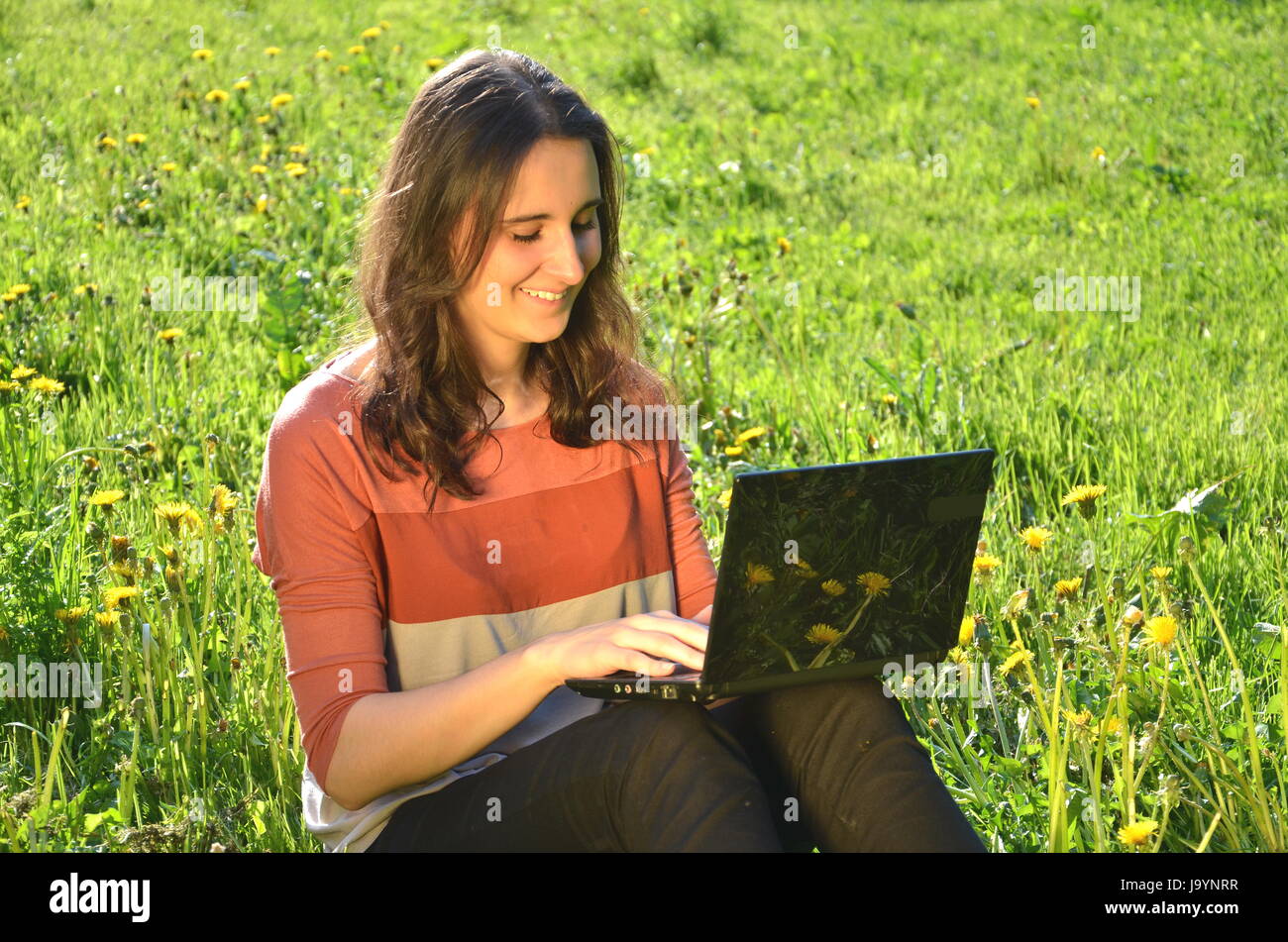 laptop, notebook, computers, computer, beautiful, beauteously, nice ...