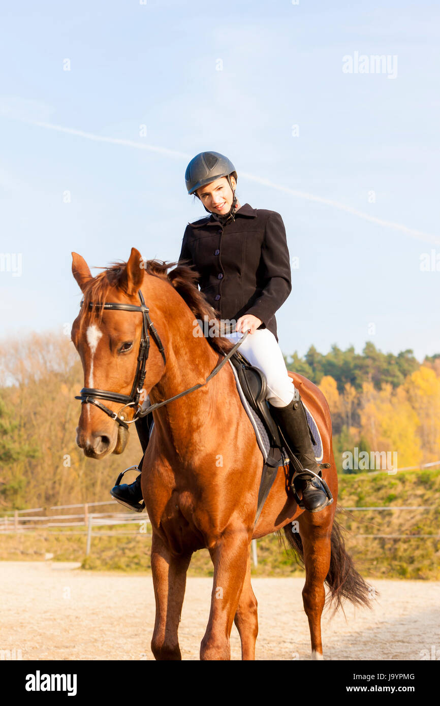 woman, horse, riding, rider, equestrian, horseriding, woman, humans