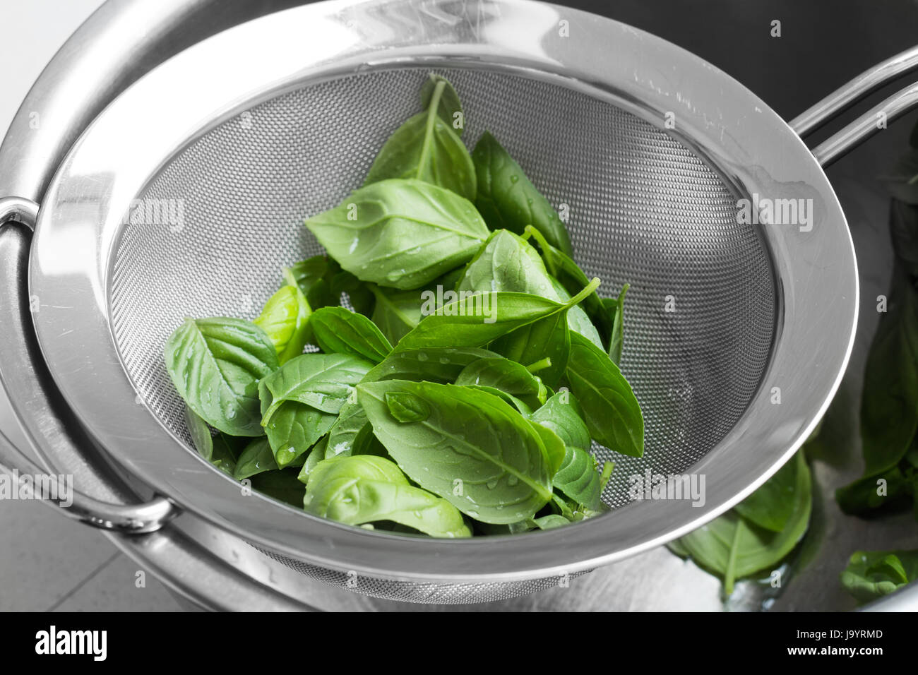 Basil fresh green leaves in sieve closeup Stock Photo
