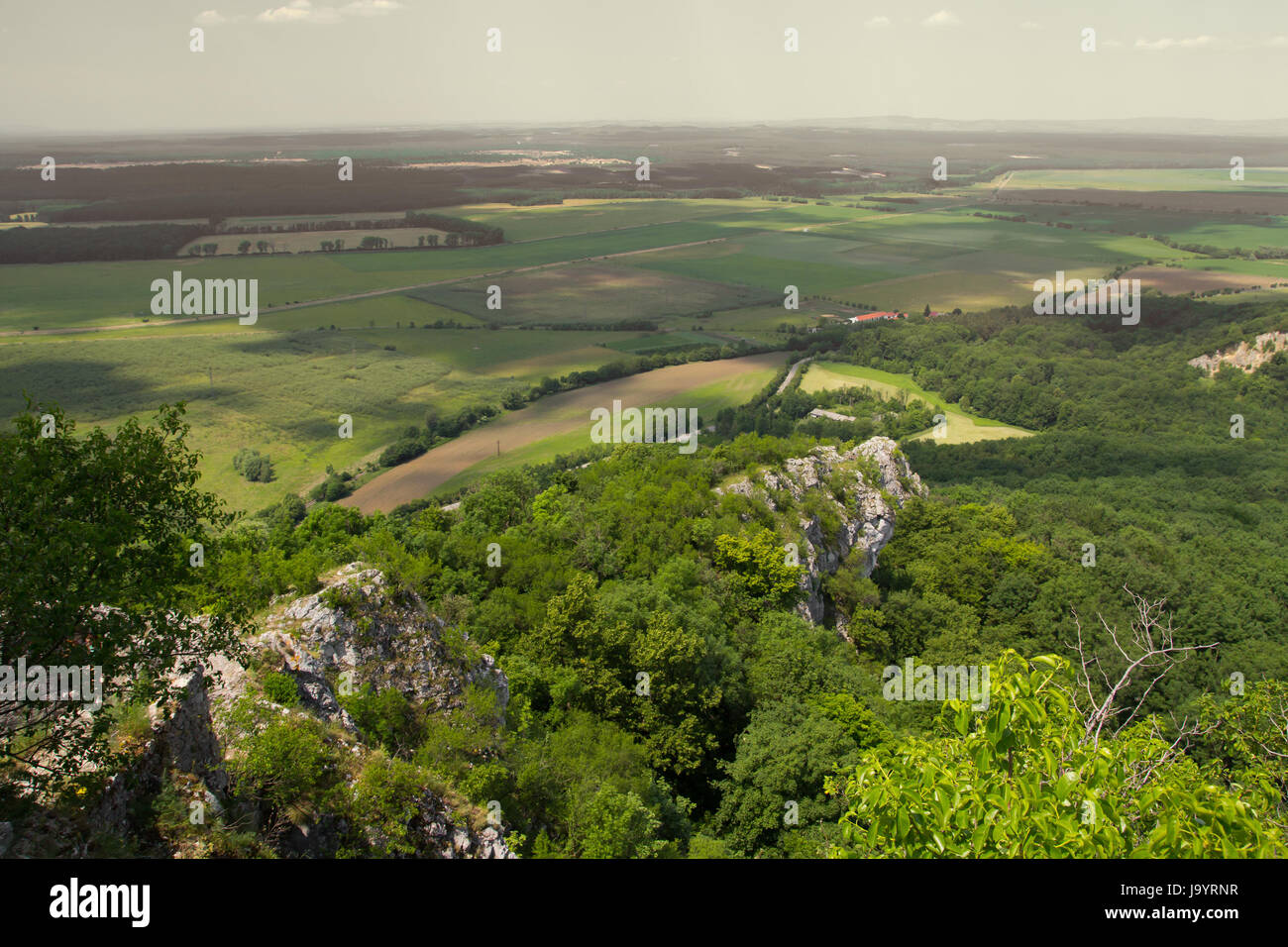 summer forested countryside landscape aerial view Stock Photo