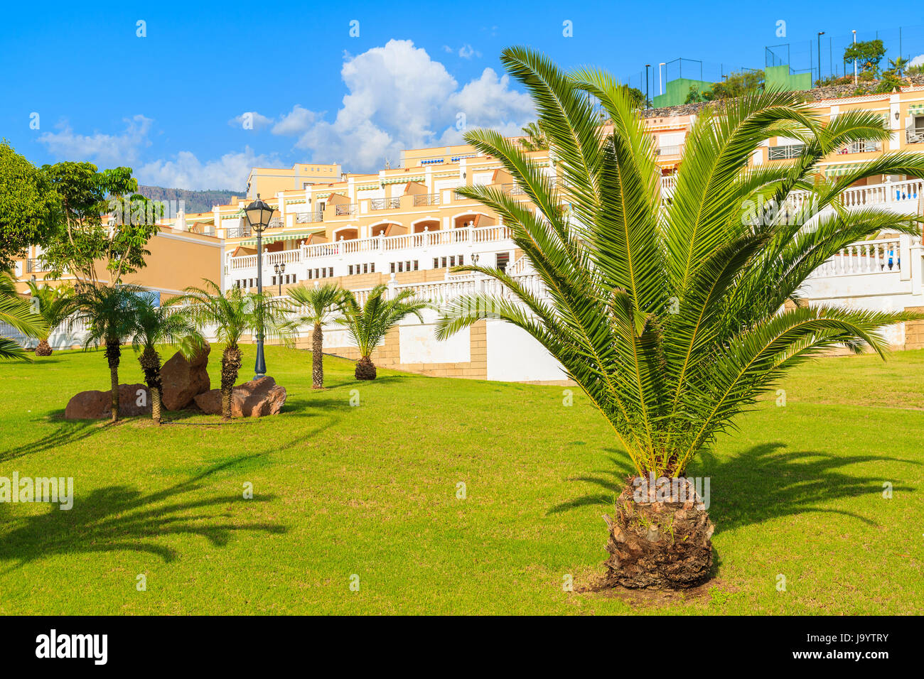 Palm tree in gardens of traditional holiday apartments complex in Costa