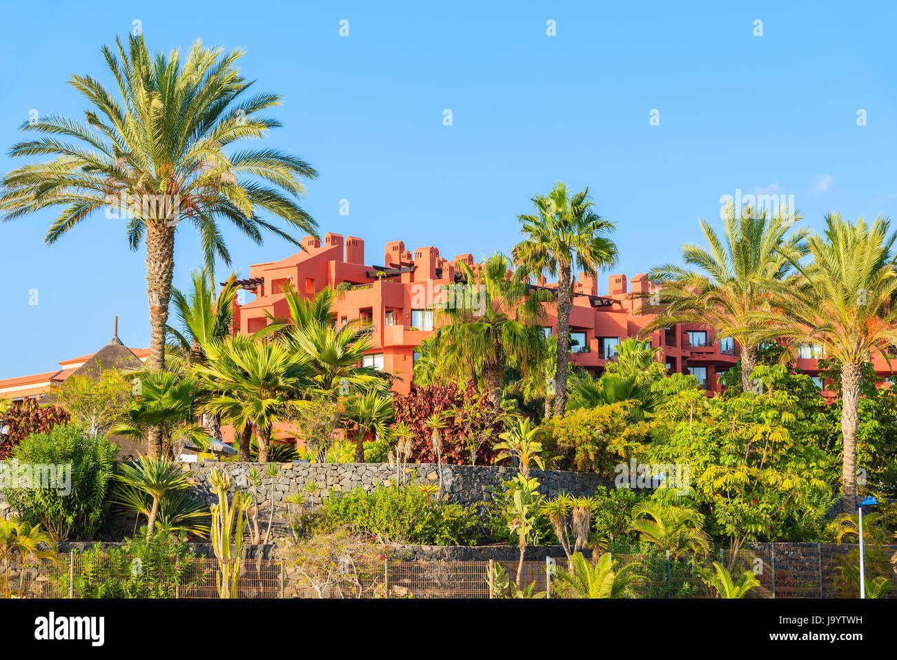 Palm trees and hotel building on coast of Tenerife island in Costa Adeje seaside town, Canary Islands, Spain Stock Photo