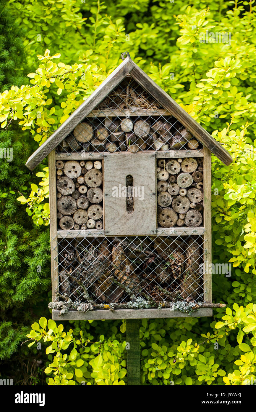 Wooden insect house in a summer garden Stock Photo