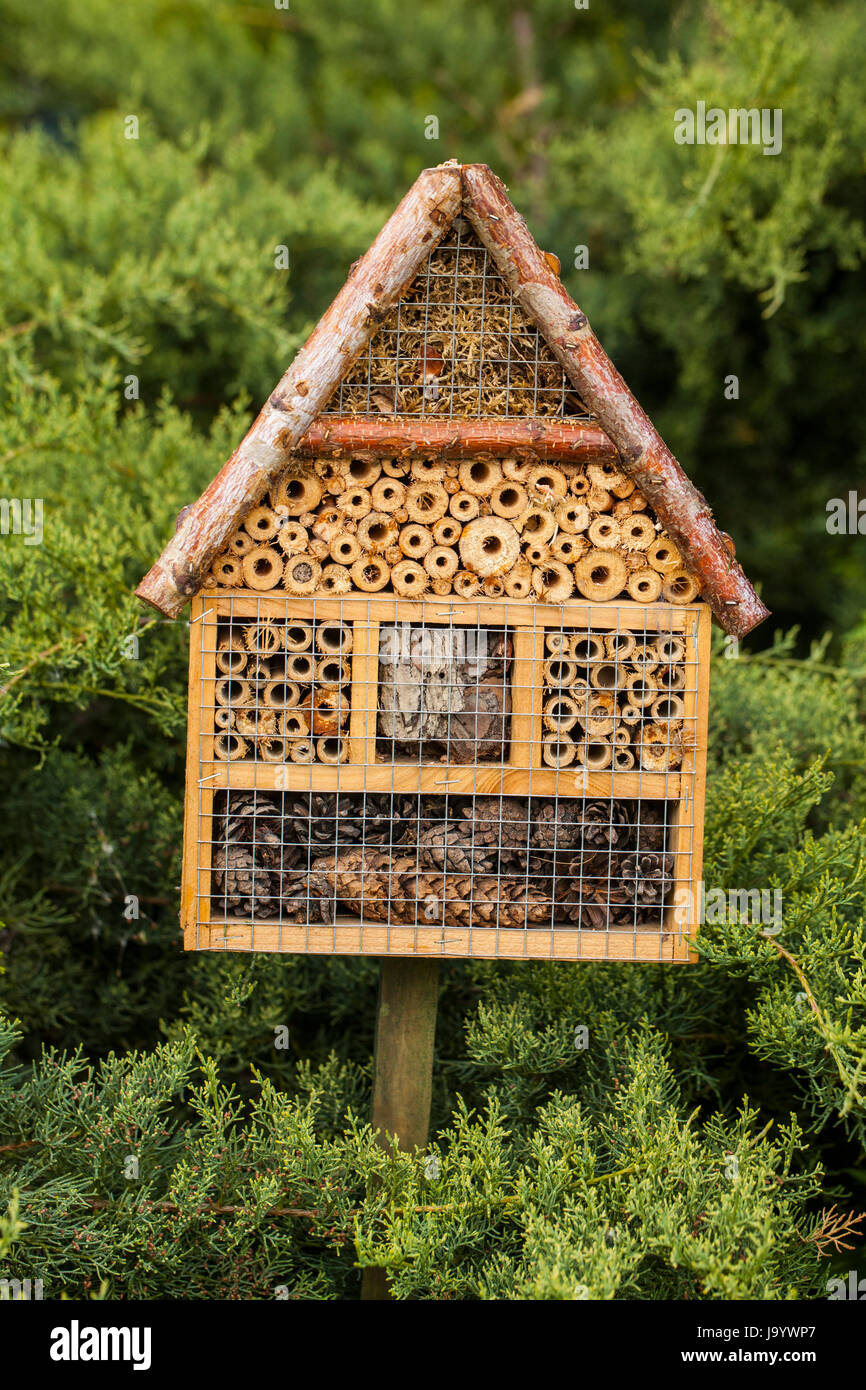 Wooden insect house in a summer garden Stock Photo