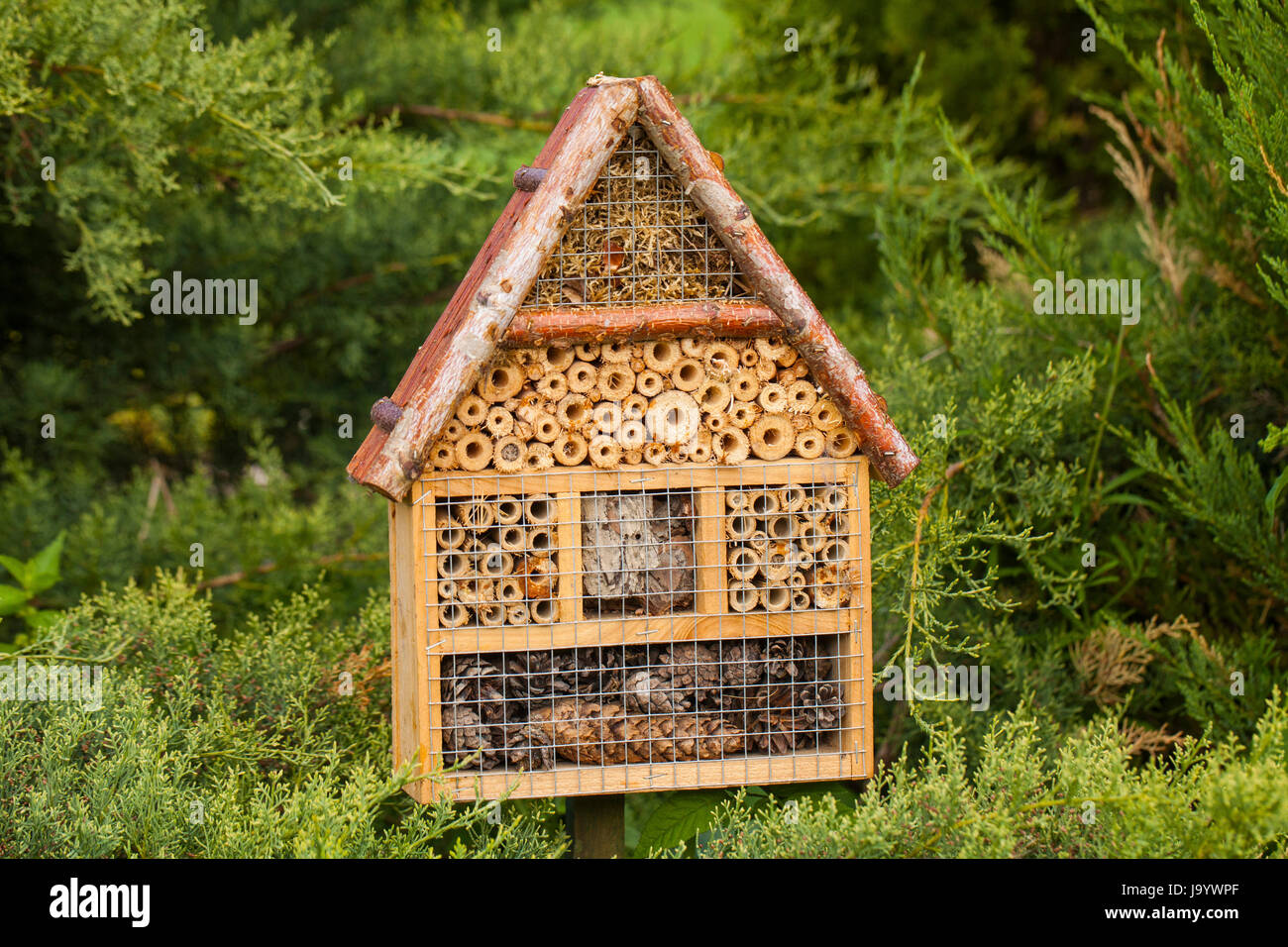 Wooden insect house in a summer garden Stock Photo