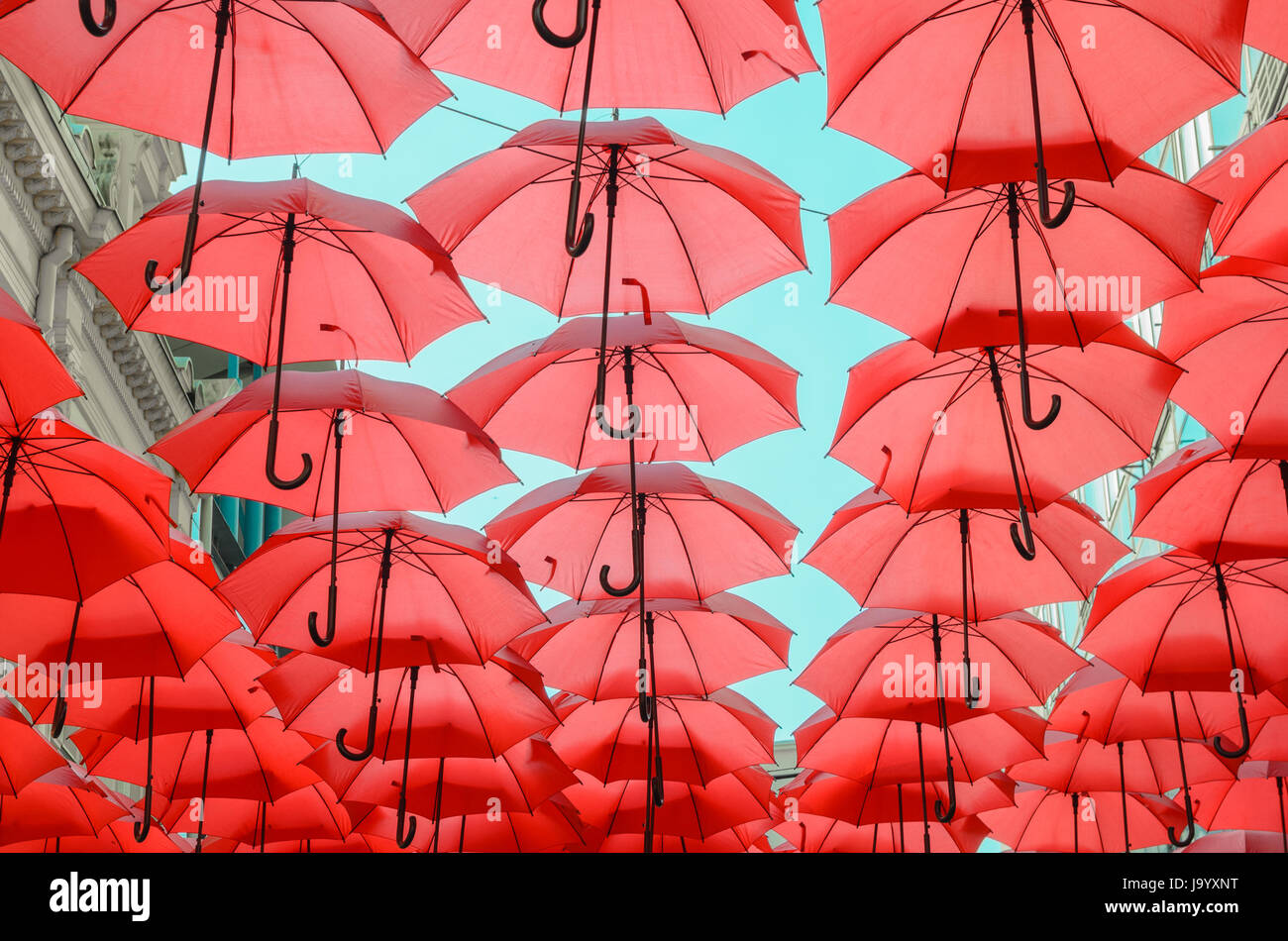 Many red umbrellas in a rows, hanging up in the sky Stock Photo Alamy