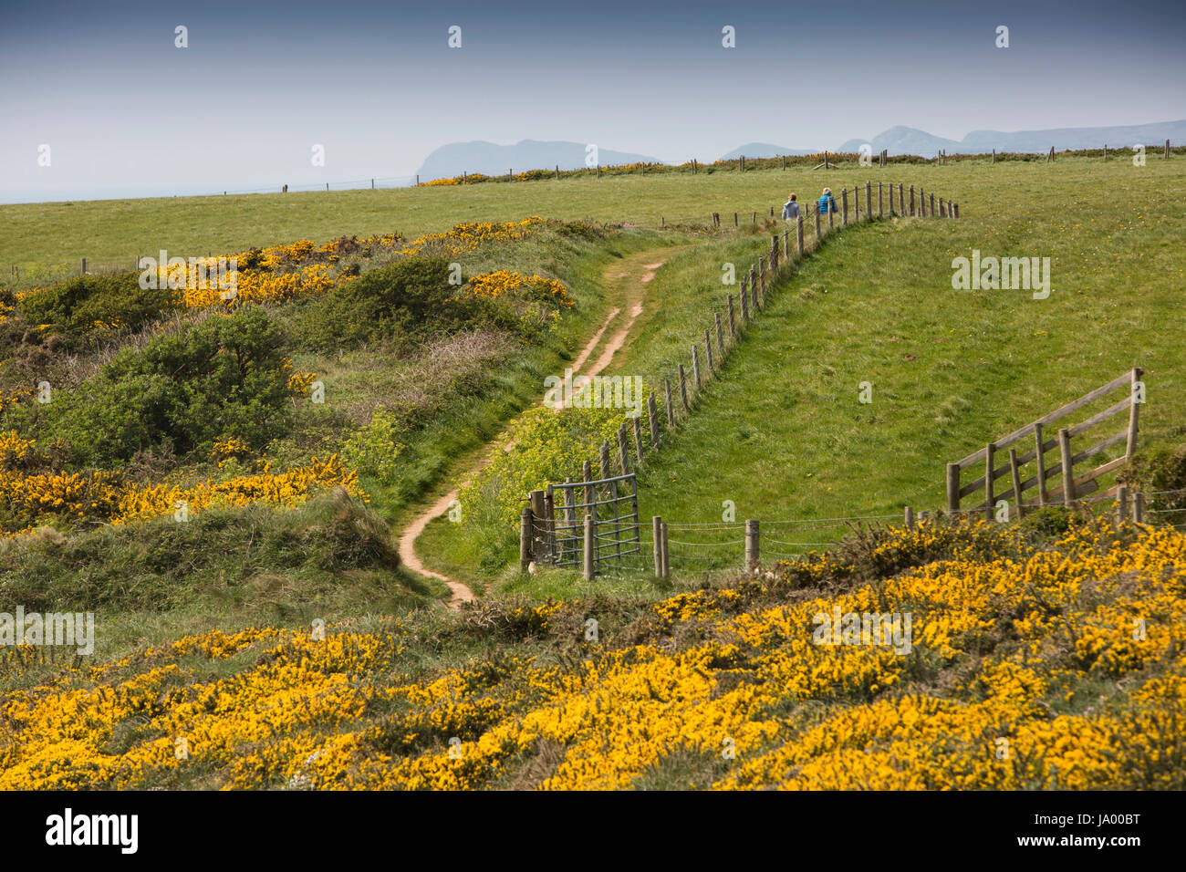 UK, Wales, Pembrokeshire, Solva, Nine Wells, two female walkers in distance on Coast Path Stock Photo