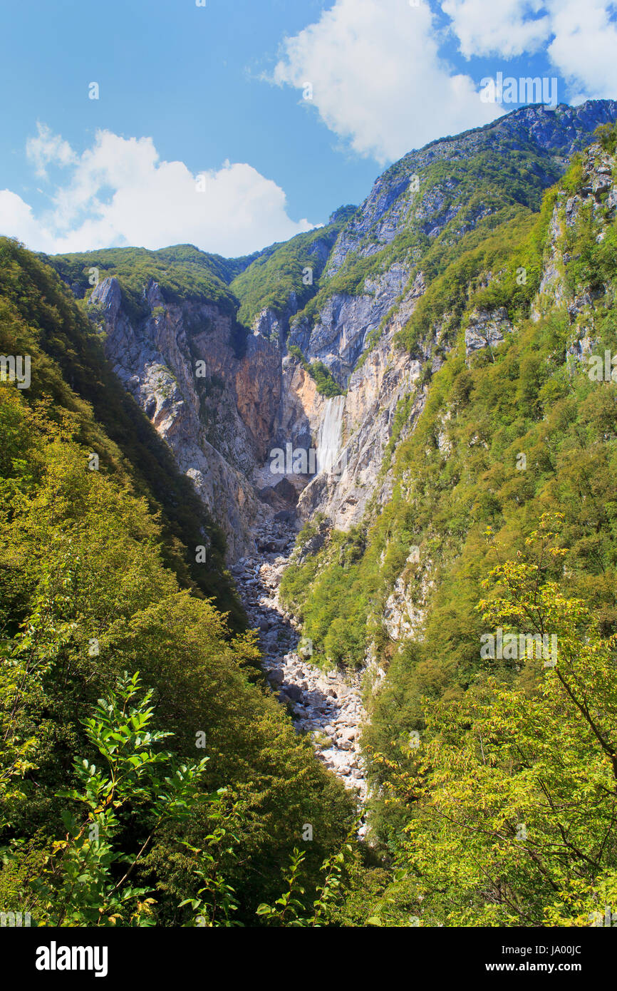 alps, mountain, nature, beautiful, beauteously, nice, leaf, travel, health, Stock Photo