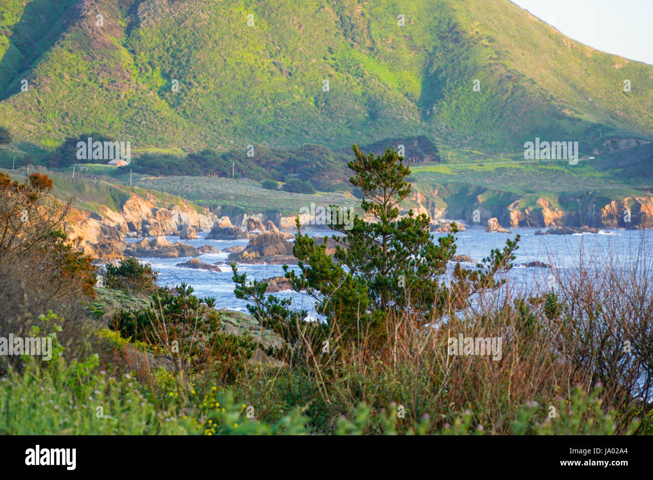 Pacific Ocean at Big Sur California Stock Photo - Alamy
