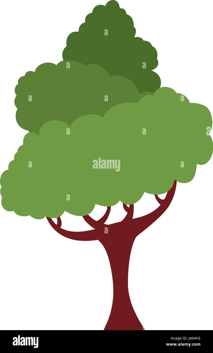 Beautiful tree isolated Stock Vector Image & Art - Alamy