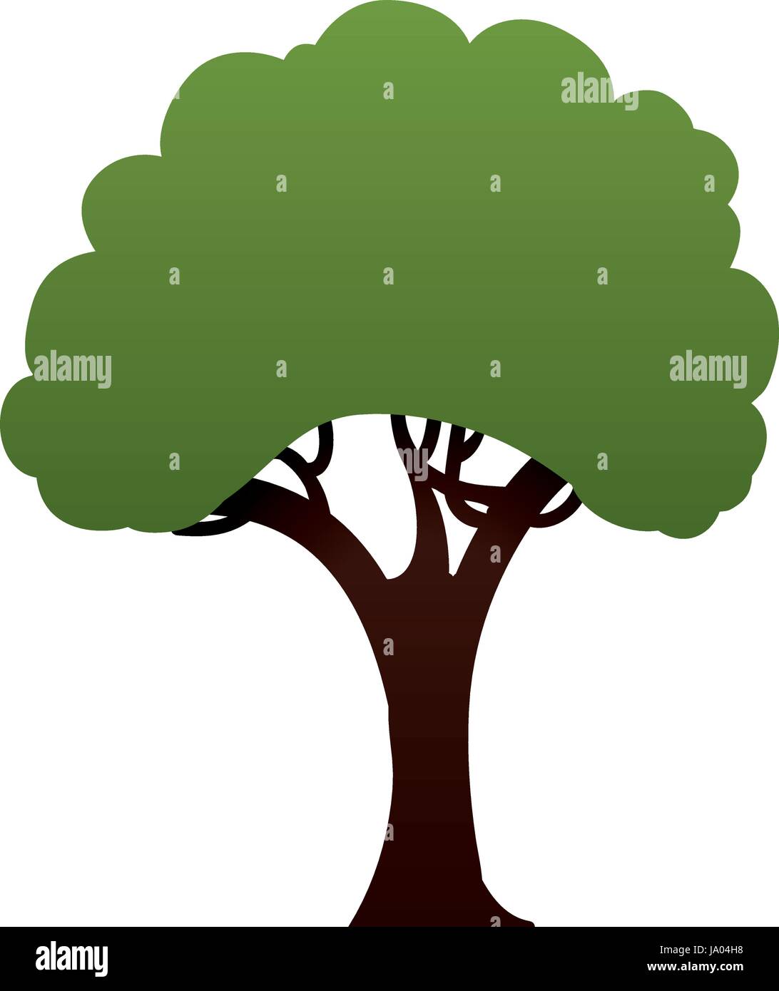 Beautiful tree isolated Stock Vector Image & Art - Alamy