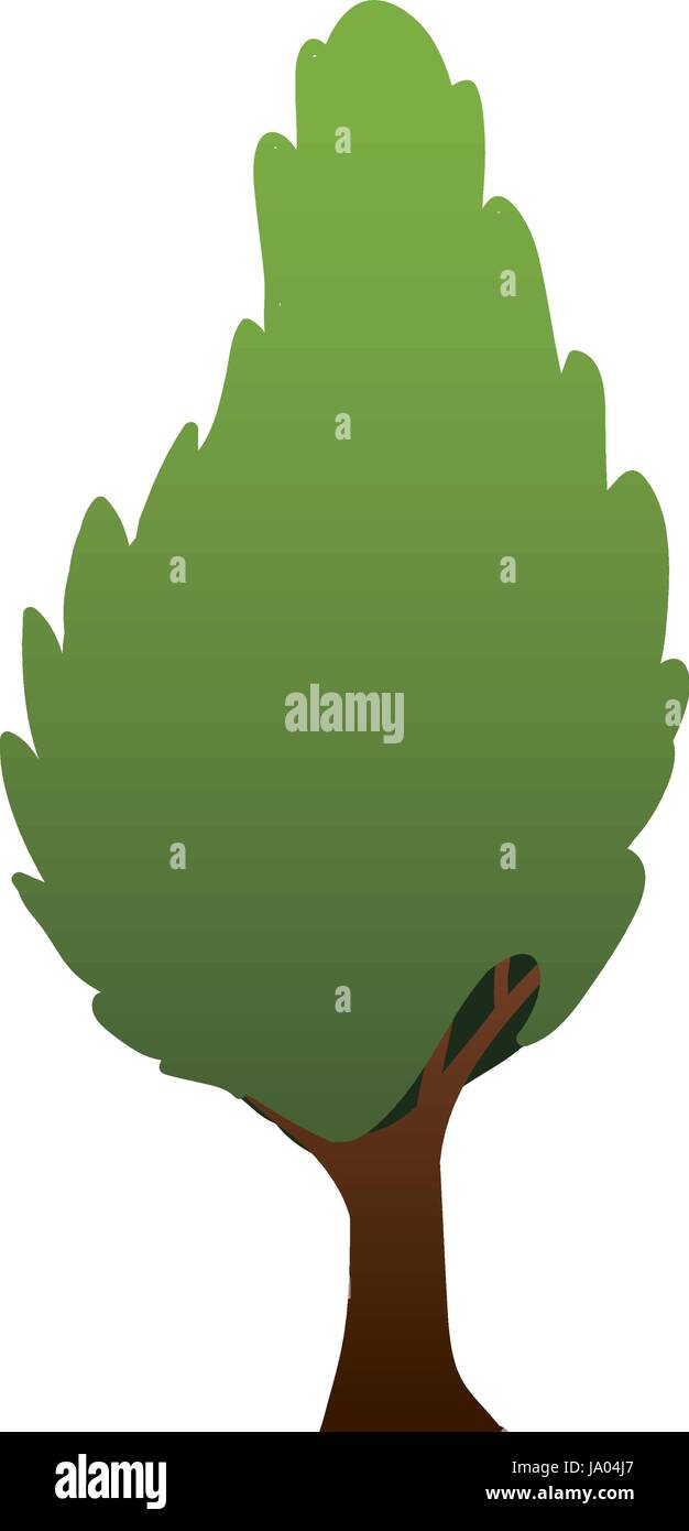 Beautiful tree isolated Stock Vector Image & Art - Alamy