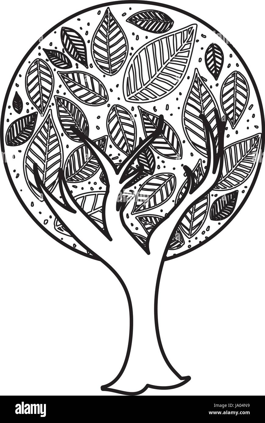 Beautiful tree isolated Stock Vector Image & Art - Alamy
