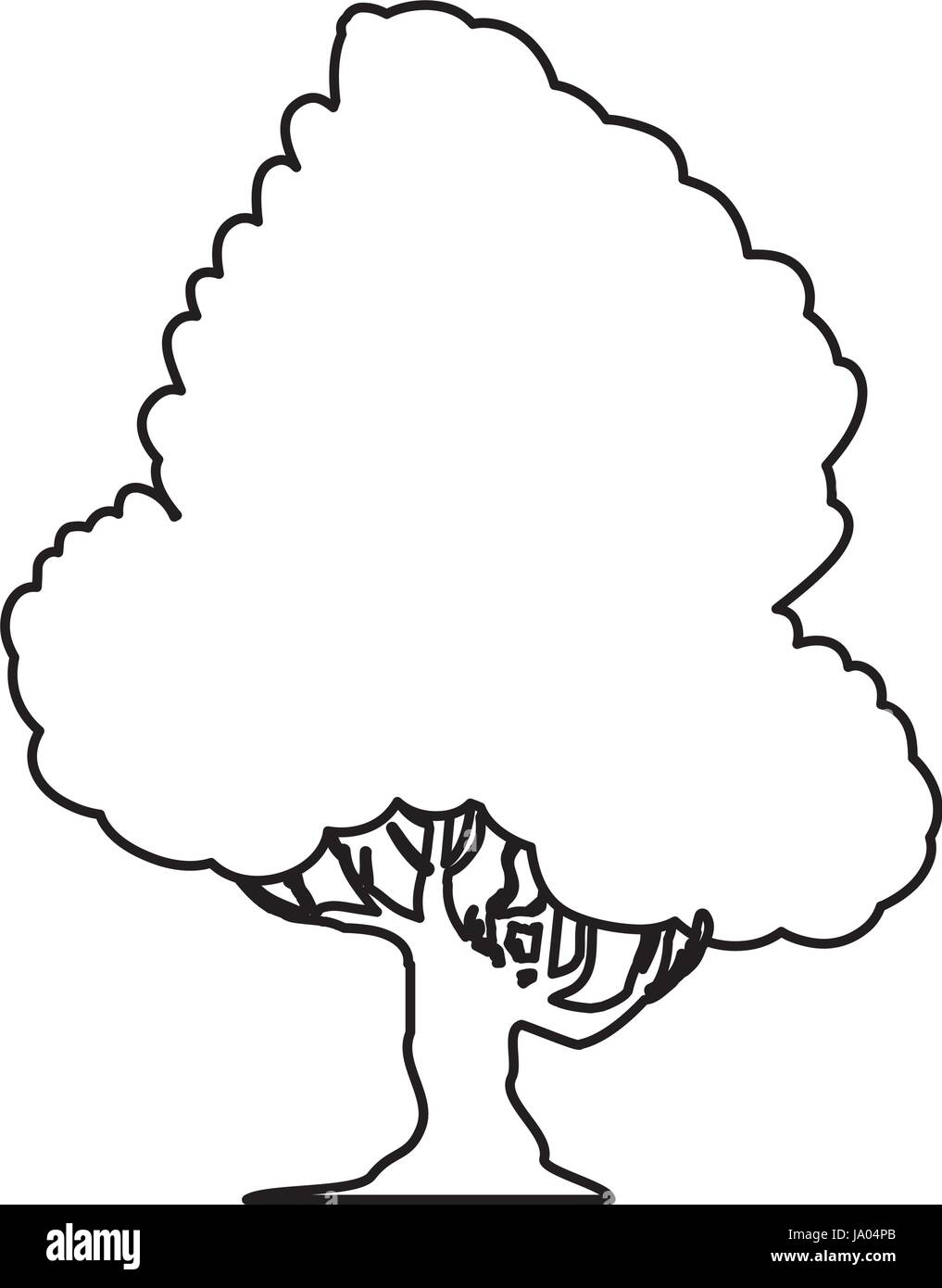 Beautiful tree isolated Stock Vector Image & Art - Alamy
