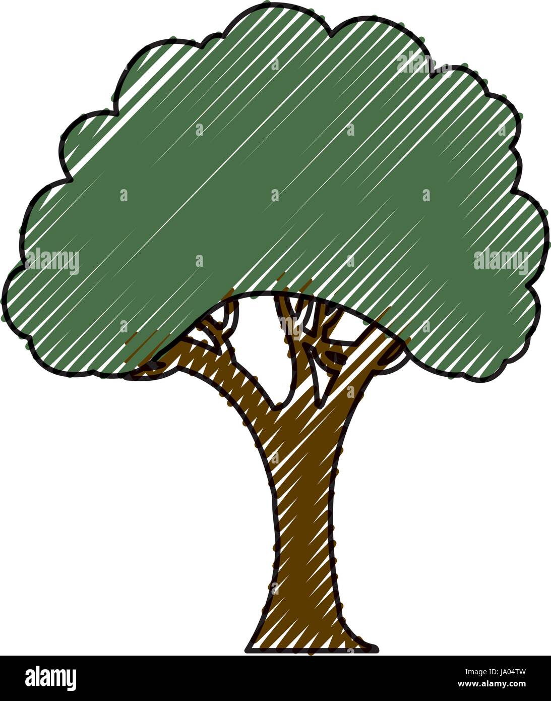 Beautiful tree isolated Stock Vector Image & Art - Alamy