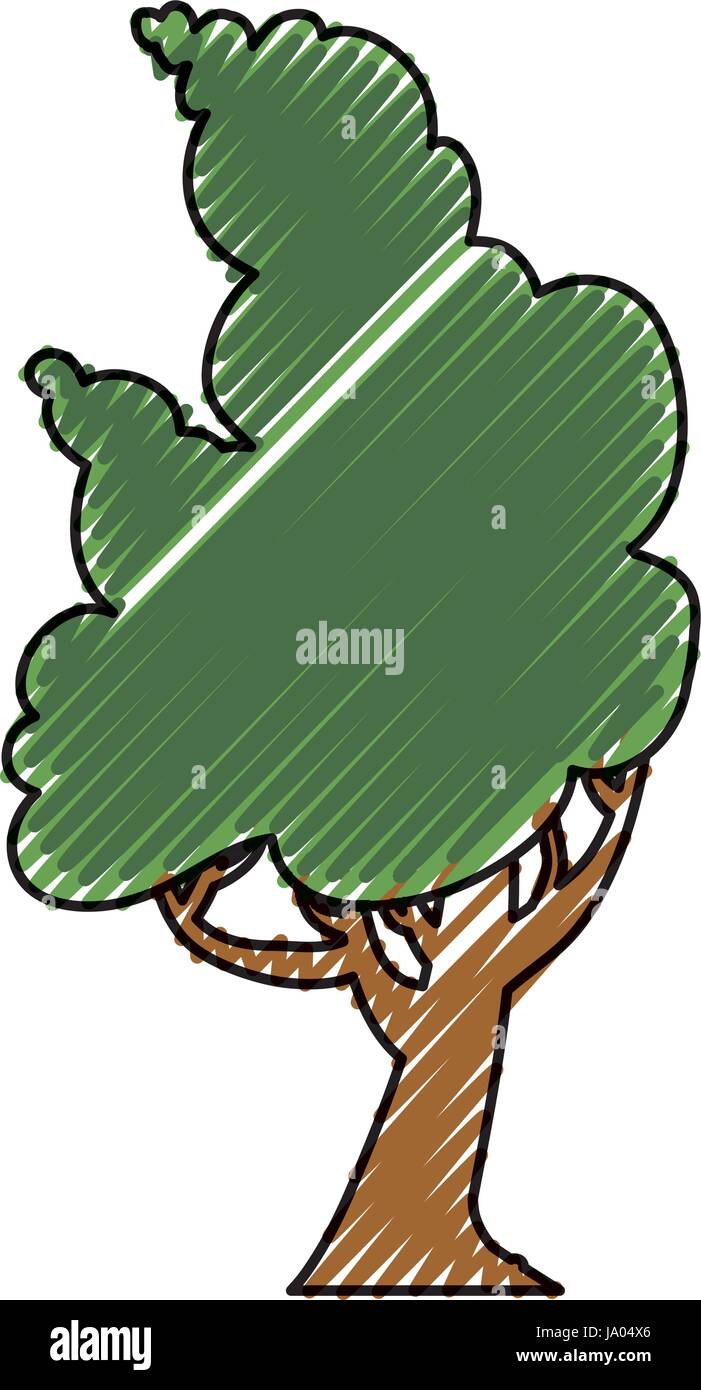 Beautiful tree isolated Stock Vector Image & Art - Alamy