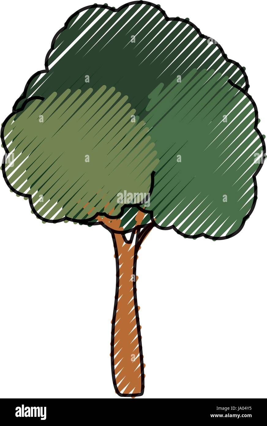Beautiful tree isolated Stock Vector Image & Art - Alamy