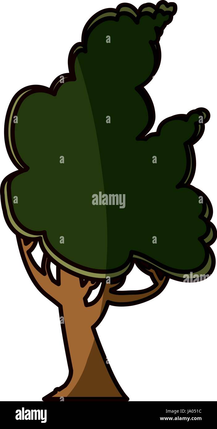 Beautiful tree isolated Stock Vector Image & Art - Alamy