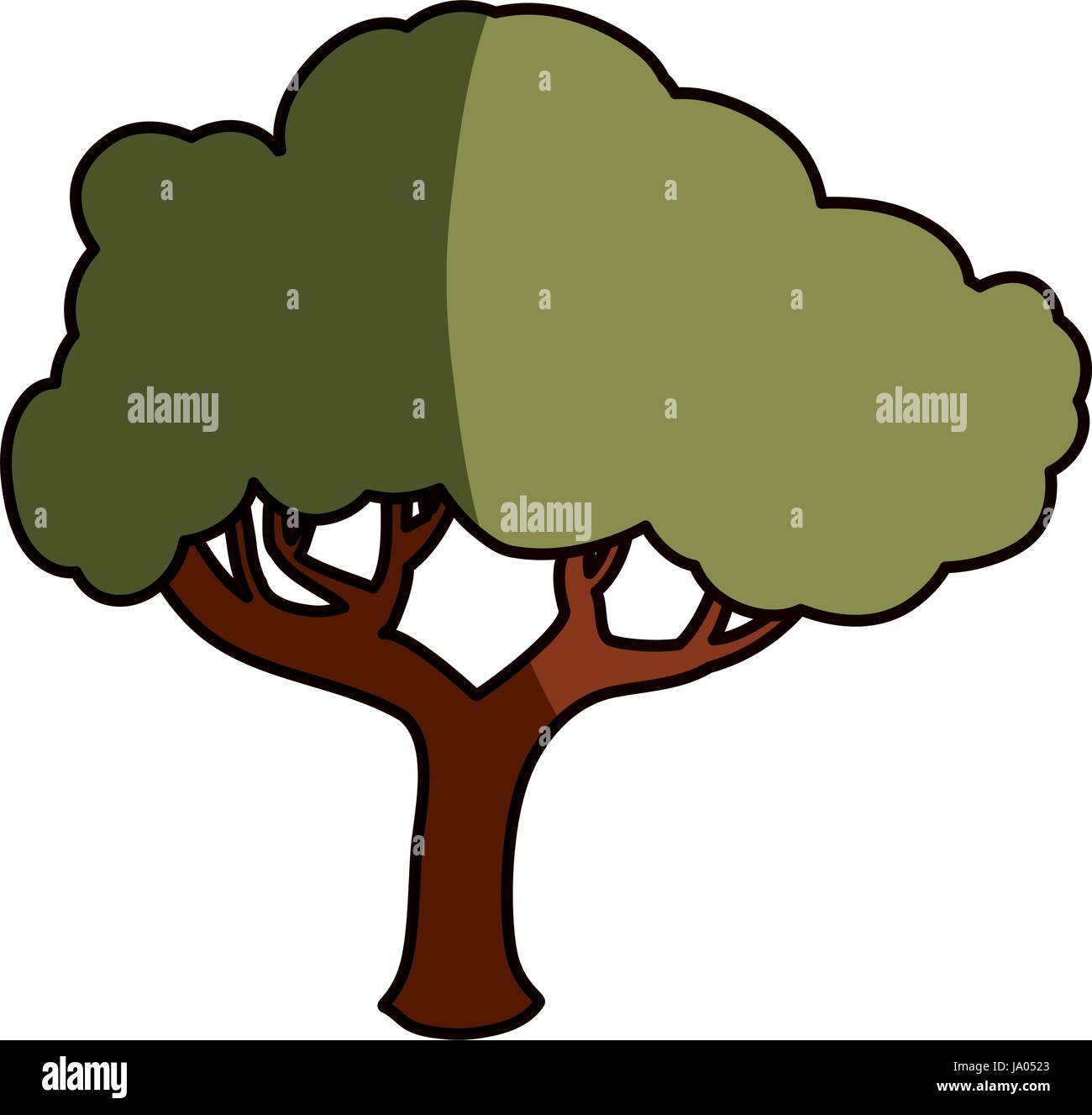 Beautiful tree isolated Stock Vector Image & Art - Alamy