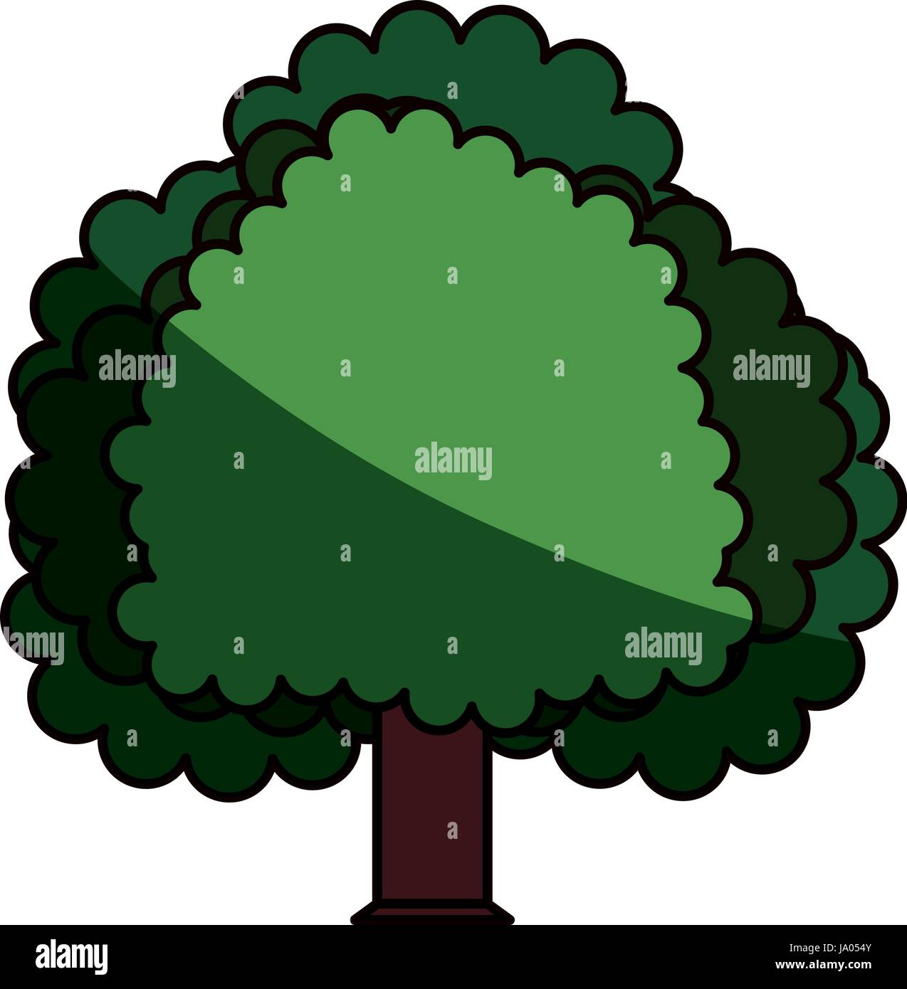 Beautiful tree isolated Stock Vector Image & Art - Alamy