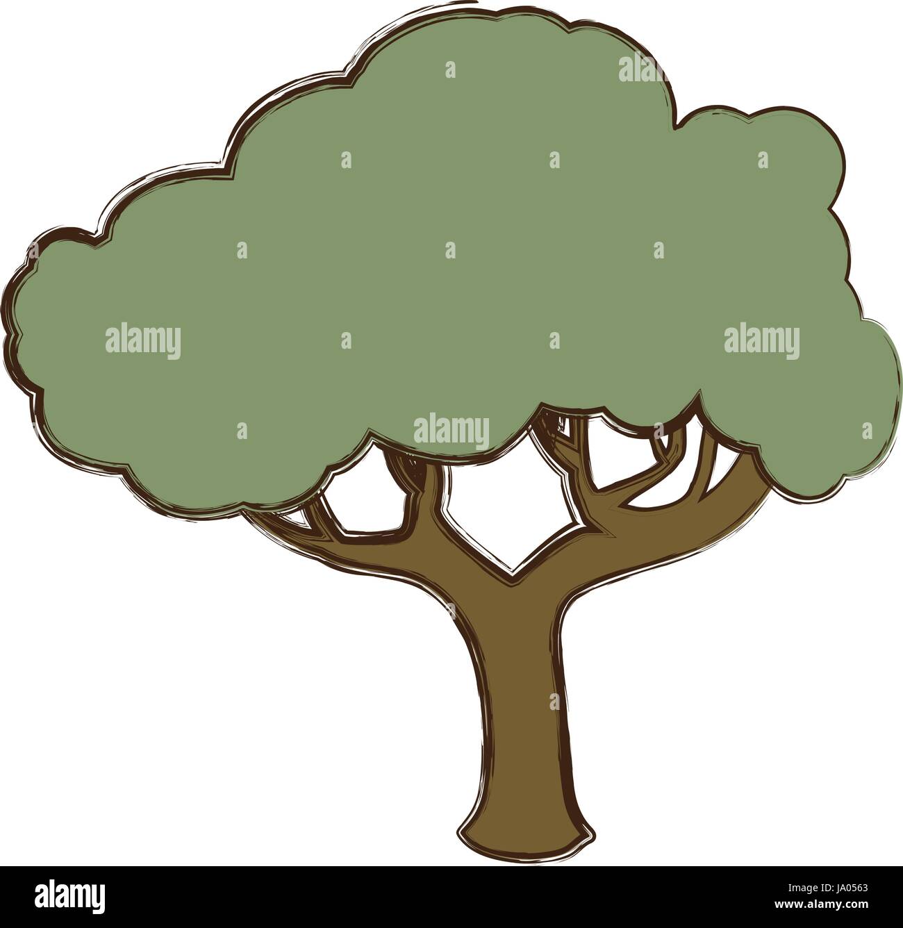 Beautiful tree isolated Stock Vector Image & Art - Alamy