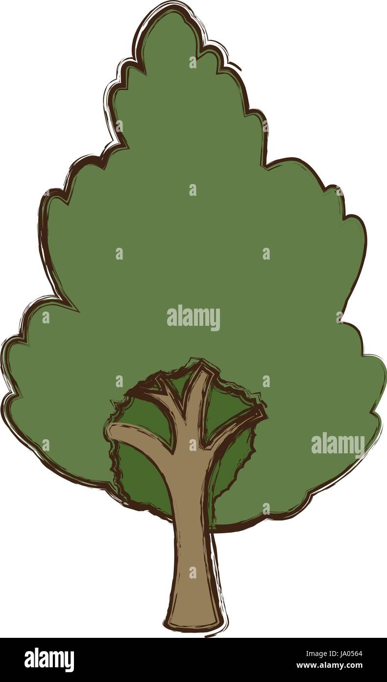 Beautiful tree isolated Stock Vector Image & Art - Alamy
