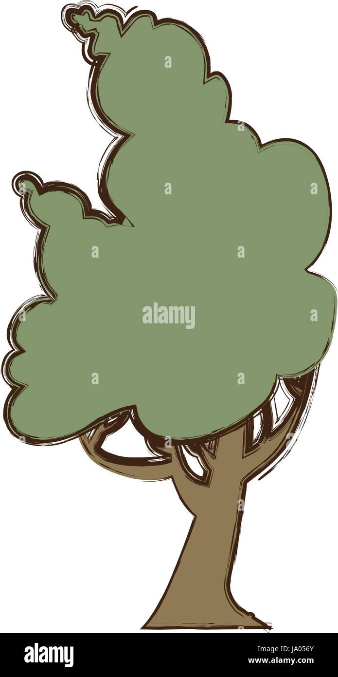 Beautiful tree isolated Stock Vector Image & Art - Alamy