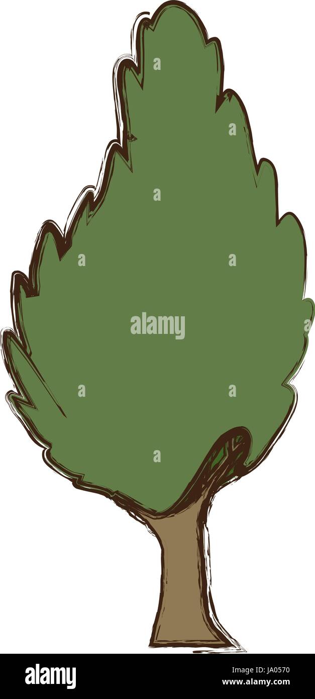Beautiful tree isolated Stock Vector Image & Art - Alamy