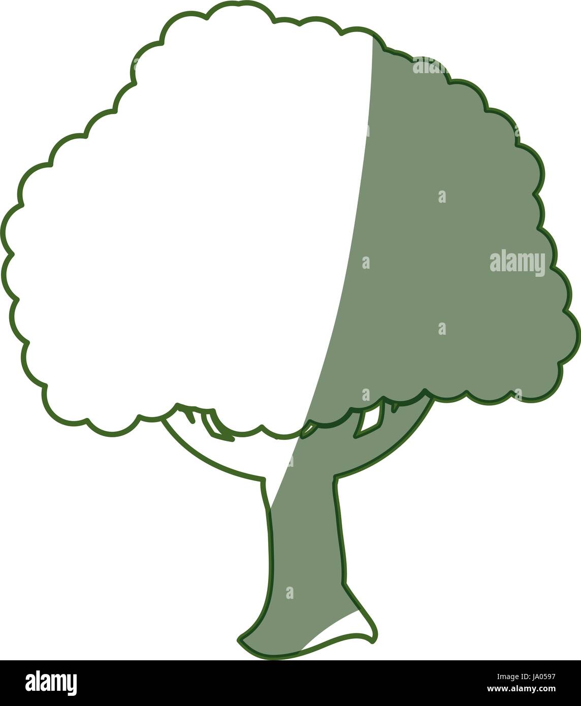 Beautiful tree isolated Stock Vector Image & Art - Alamy