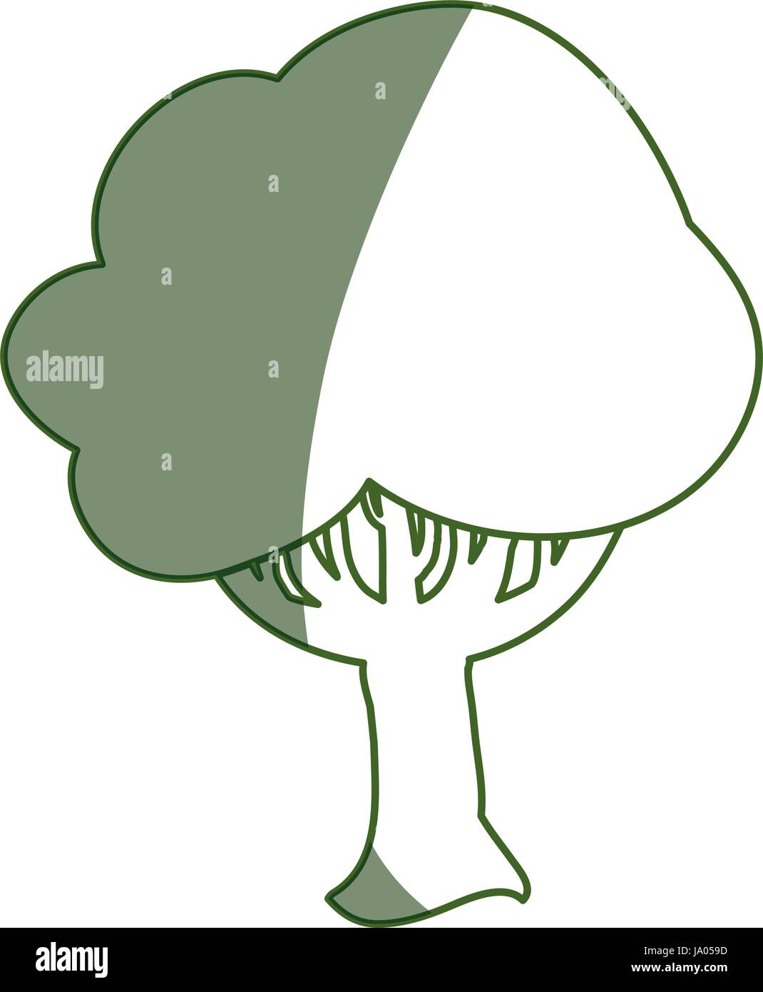 Beautiful tree isolated Stock Vector Image & Art - Alamy