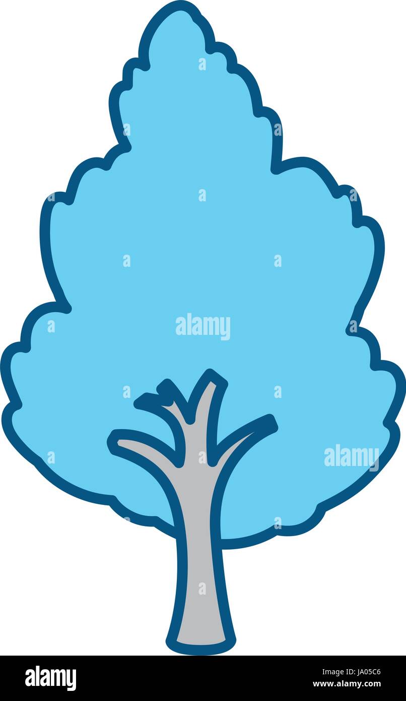 Beautiful tree isolated Stock Vector Image & Art - Alamy