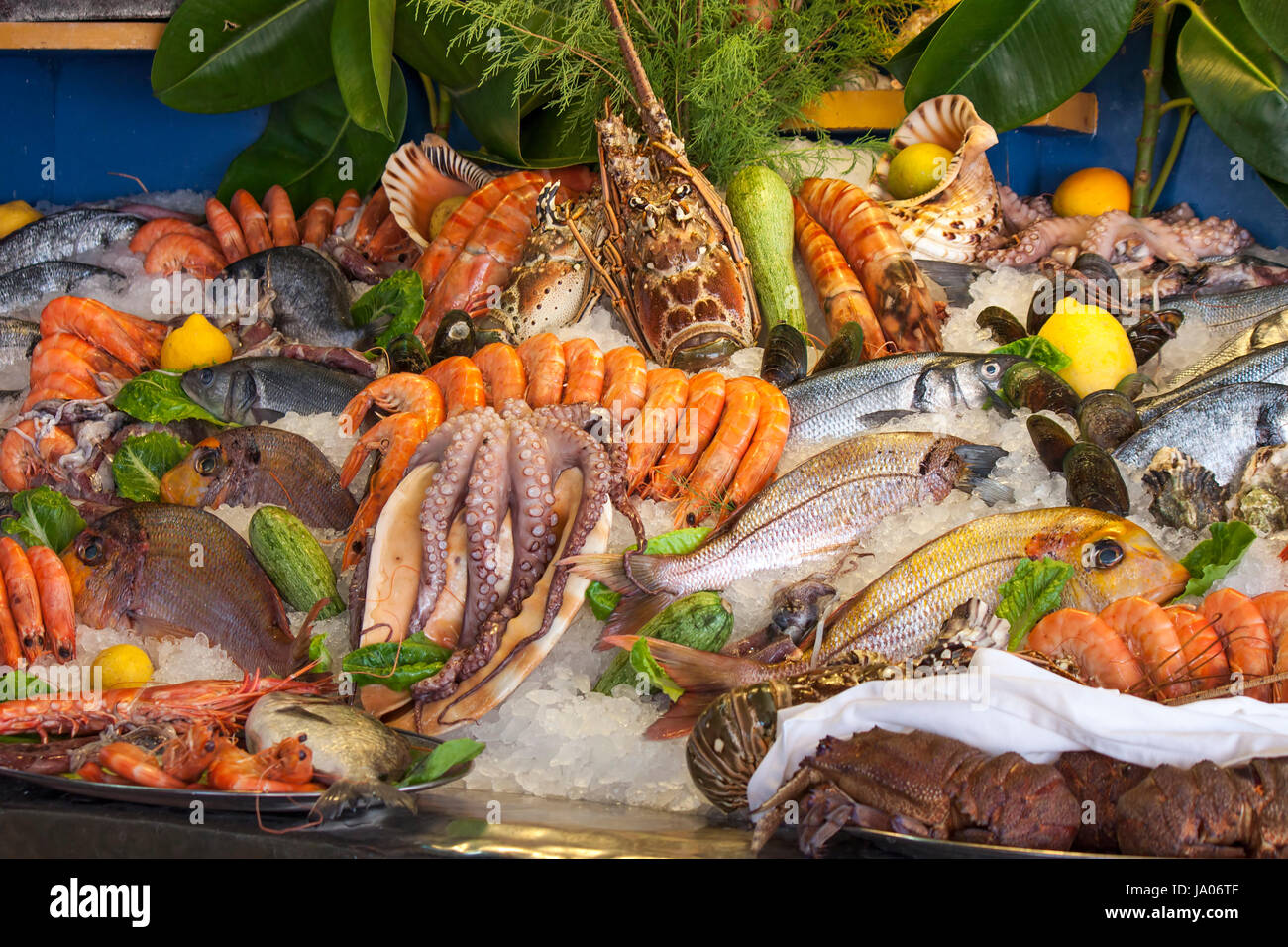 shrimp, lobster, shellfish, seafood, octopus, crustacean, shrimp