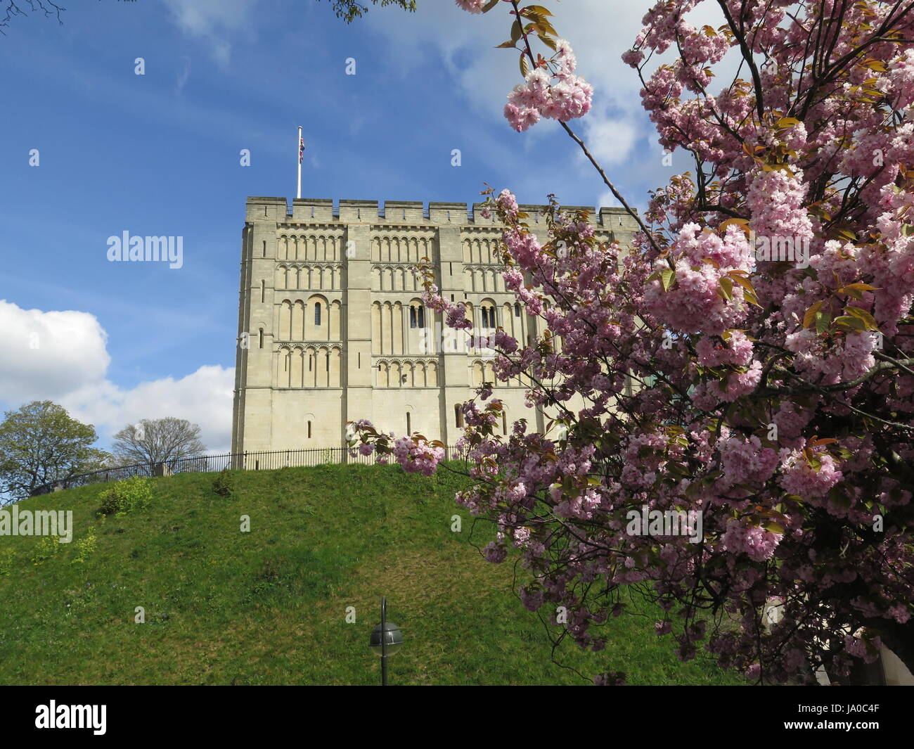 Norwich Castle Stock Photo Alamy