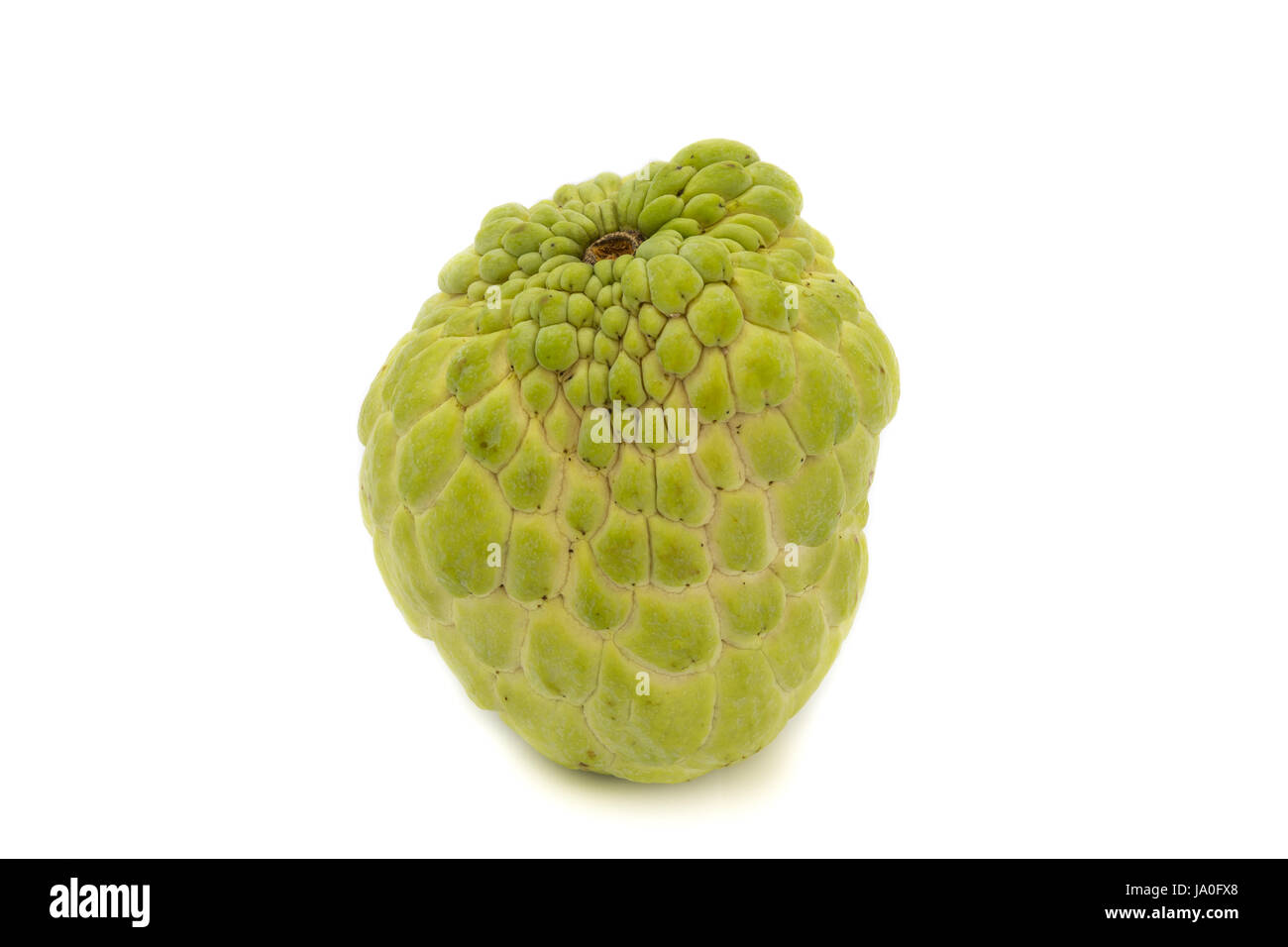 Sugar apple or custard apple, annona, sweetsop isolated on white background is native fruit of thailand Stock Photo