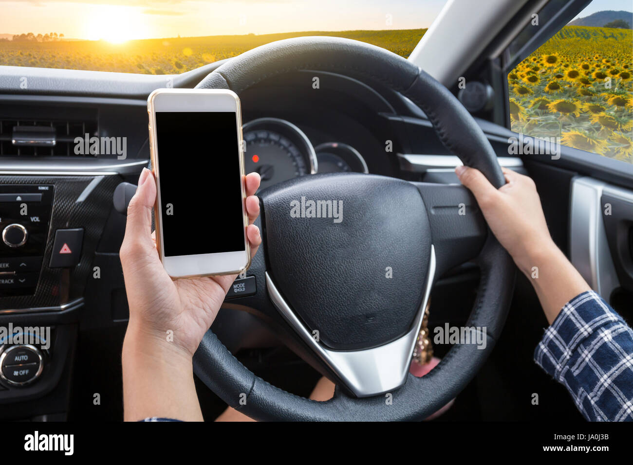 Young woman driver using touch screen smartphone and hand holding steering wheel in a car with sunflower field at sunset background Stock Photo