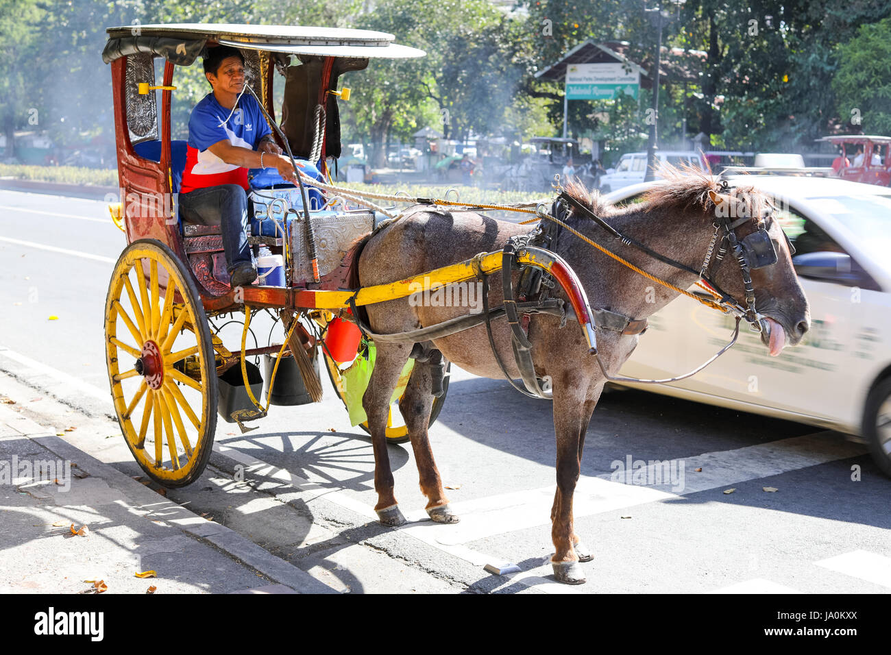 Manila Horse Cart High Resolution Stock Photography and Images - Alamy