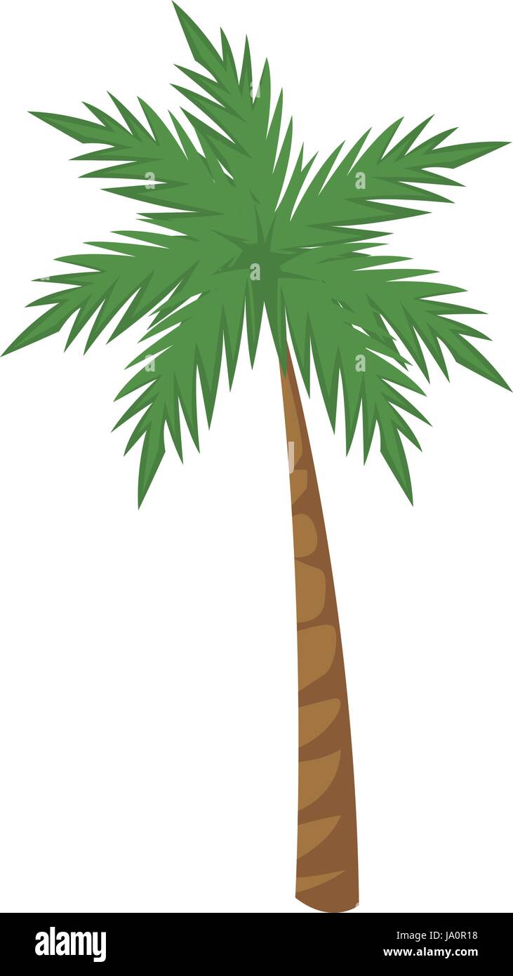 palm tree tropical plant natural image Stock Vector Image & Art - Alamy